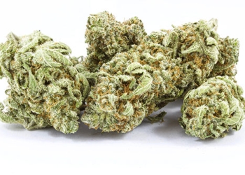Black Label Kush