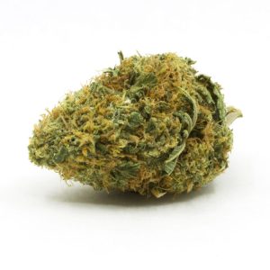 Blackberry Platinum Strain
