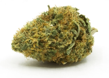 Blackberry Platinum Strain