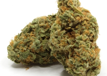 Blue Dream