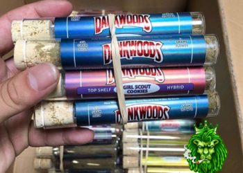 Cannabis Prerolls mix cat