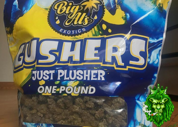 Gushers & Blue Sherbet