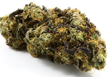 LA Confidential Indica