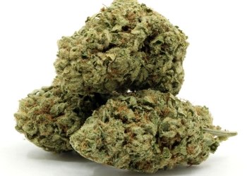 Miracle Alien Cookies – Flower