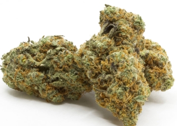 PBB – Peanut Butter BREATH