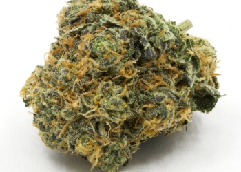 White Fire OG – wifi