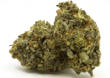 Zeus OG