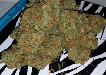 BUBBA KUSH