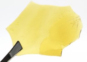 Purple Candy Shatter